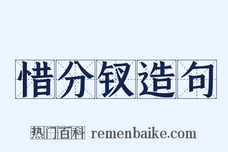 惜分钗造句是什么意思的图片